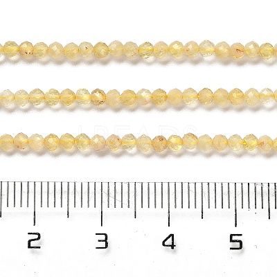 Heated Natural Citrine Beads Strands G-Z074-A03-01-1
