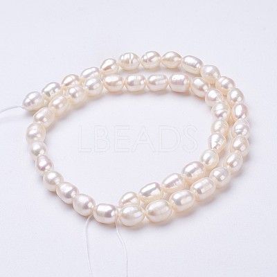Natural Cultured Freshwater Pearl Beads Strands PEAR-P002-55-01-1