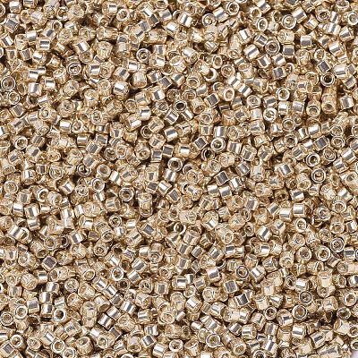 MIYUKI Delica Beads SEED-MY11-DB0433-1