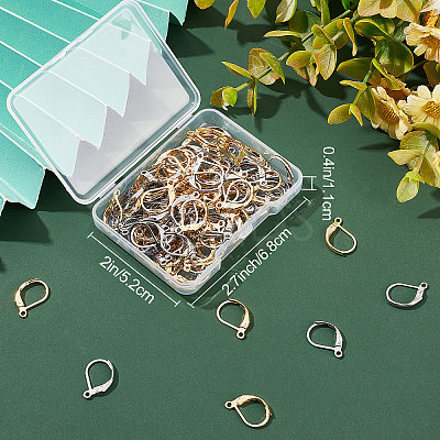 100Pcs 2 Colors 304 Stainless Steel Leverback Earring Findings STAS-BBC0001-56-1