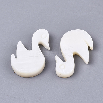 Natural Freshwater Shell Beads X-SHEL-N026-54-1