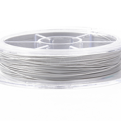 Tiger Tail Beading Wire TWIR-R007-0.4mm-02-1