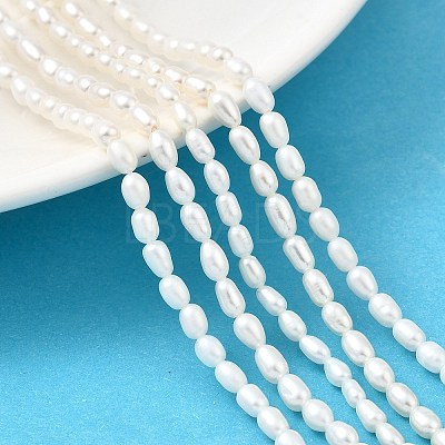 Natural Cultured Freshwater Pearl Beads Strands PEAR-I007-01O-01A-1