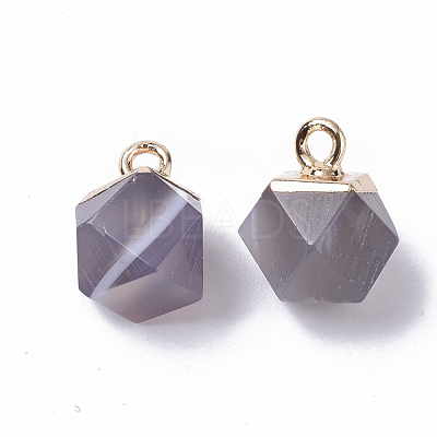 Natural Grey Agate Charms G-S359-015D-1