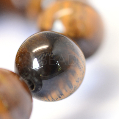 Grade AB Natural Tiger Eye Round Bead Strands X-G-E334-10mm-17-1