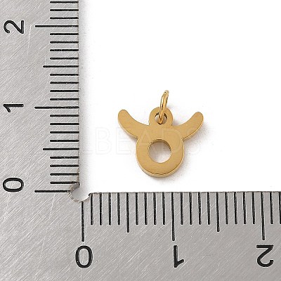 304 Stainless Steel Charms STAS-R001-04G-02-1