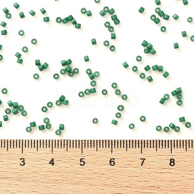 Cylinder Seed Beads X-SEED-H001-C09-1