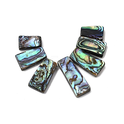 Natural Paua Shell Beads Strands BSHE-S305-01A-1