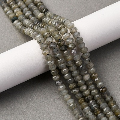 Natural Labradorite Beads Strands G-P587-D13-01-1