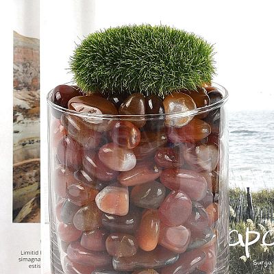 Dyed & Heated Natural Agate Beads G-J402-03C-01-1