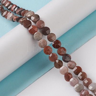 Natural Petrified Wood Beads Strands G-K332-B02-1