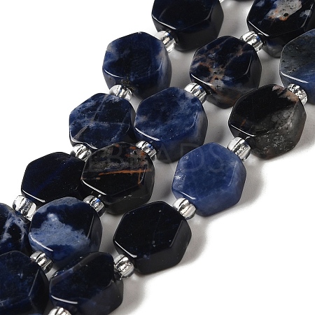 Natural Sodalite Beads Strands G-P534-A11-02-1