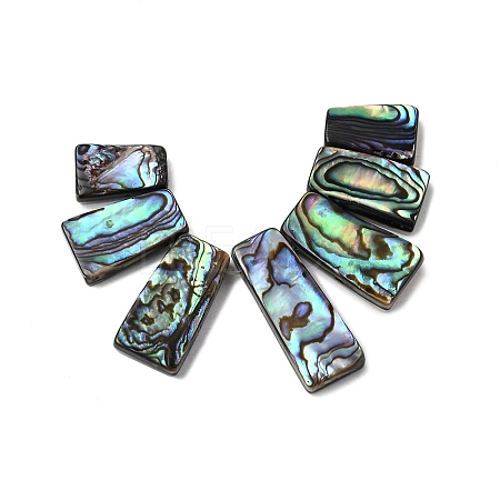 Natural Paua Shell Beads Strands BSHE-S305-01A-1