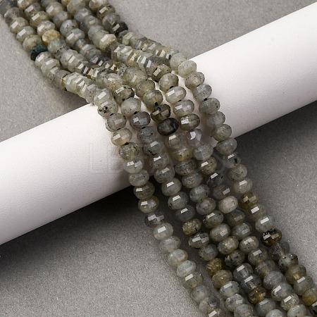 Natural Labradorite Beads Strands G-P587-D13-01-1