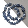 Natural Kyanite/Cyanite/Disthene Chip Beads Strands G-E271-78-5