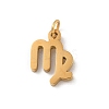 304 Stainless Steel Charms LS-STAS-R001-04G-06-1