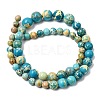 Natural Imperial Jasper Graduated Beads Strands G-A323-C03-01E-3