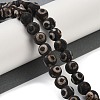 Tibetan Style dZi Beads G-K166-02-10mm-L3-01-2