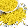 8/0 Glass Seed Beads X1-SEED-A010-3mm-42-1