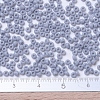 MIYUKI Round Rocailles Beads X-SEED-G007-RR0498-4