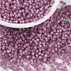 MIYUKI Round Rocailles Beads X-SEED-G008-RR0645-1