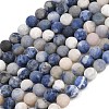 Natural Sodalite Beads Strands G-D691-8mm-2