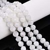 Natural Rainbow Moonstone Beads Strands G-S345-6mm-36-1