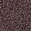 TOHO 11/0 Round Beads X-SEED-TR11-0026BF-2
