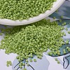 MIYUKI Delica Beads SEED-MY11-DB0733-1