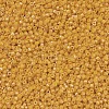 MIYUKI Delica Beads SEED-X0054-DB0651-3
