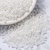 MIYUKI Round Rocailles Beads X-SEED-G008-RR0420-1
