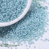 MIYUKI Delica Beads X-SEED-J020-DB0628-1