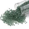TOHO Round Seed Beads SEED-TR11-1070-1