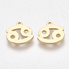 Ion Plating(IP) 304 Stainless Steel Charms X-STAS-S107-06J-1