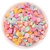 Opaque Resin Imitation Food Decoden Cabochons RESI-K027-13-1