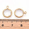 K9 Glass Charms GLAA-T023-37A-02-3