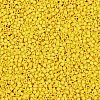MIYUKI Delica Beads X-SEED-J020-DB2284-2
