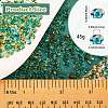 45G Transparent Baking Paint Glass Seed Beads SEED-SZ0001-028C-2