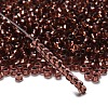 TOHO 6/0 Round Beads SEED-XTR06-0746-2