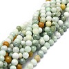 Natural Myanmar Jade Beads Strands G-E576-08A-1