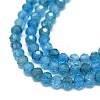 Natural Apatite Beads Strands G-G106-C06-01-3
