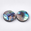 Abalone Shell/Paua Shell Beads SSHEL-T008-06B-2