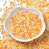 Baking Paint Glass Seed Beads SEED-P006-03A-22-2