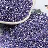 Glass Seed Beads X1-SEED-S042-04A-08-1