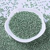 MIYUKI Delica Beads SEED-MY11-DB0414-2