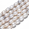 Natural Cultured Freshwater Pearl Beads Strands PEAR-S017-006-3