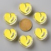 Transparent Enamel Acrylic Beads TACR-S155-004H-3