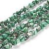 Natural Imperial Jasper Bead Strands G-P444-05E-2