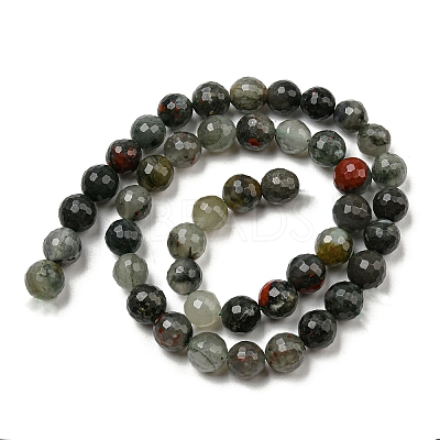 Natural Afican Bloodstone Beads Strands G-C079-B02-01-1
