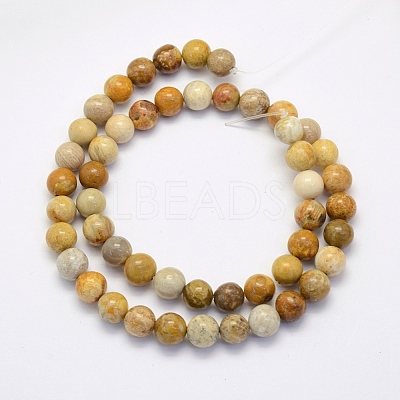 Natural Fossil Coral Beads Strands X-G-G697-F01-8mm-1